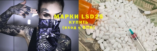 ГАЛЛЮЦИНОГЕННЫЕ ГРИБЫ Осинники