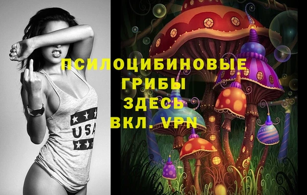 СК Няндома