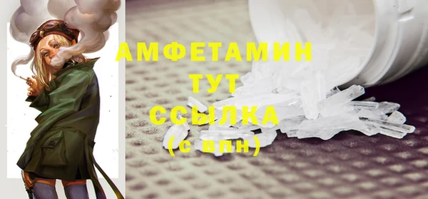 ГАЛЛЮЦИНОГЕННЫЕ ГРИБЫ Осинники