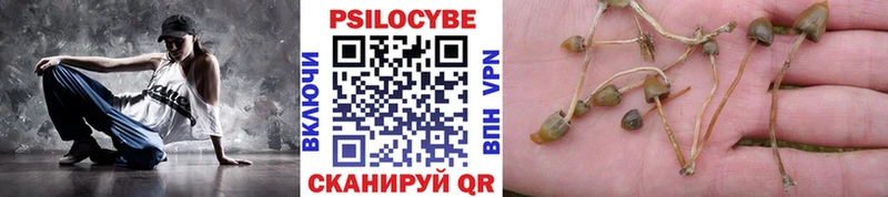 ссылка на мегу ONION Ликино-Дулёво Псилоцибиновые грибы мухоморы